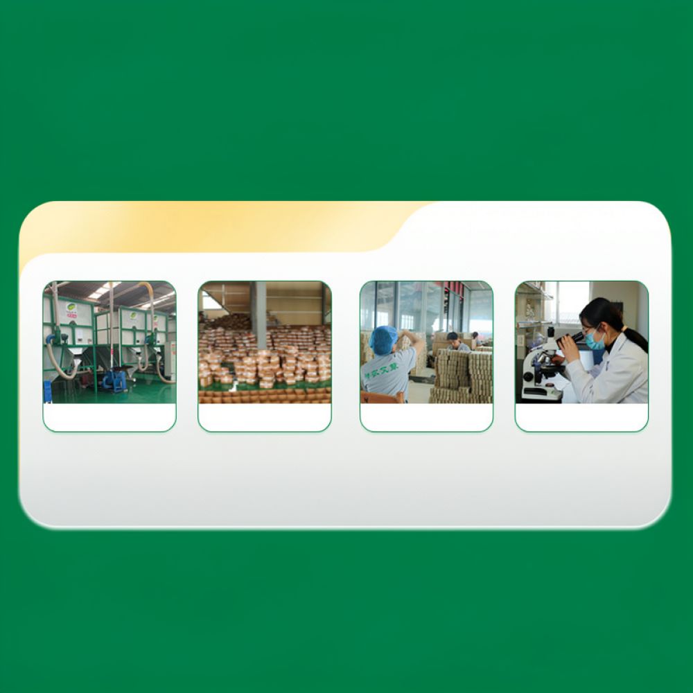 Bezdymna, karbonizowana patycz – Therapy Health And Wellness recenzja i cena